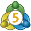 MT5 Logo